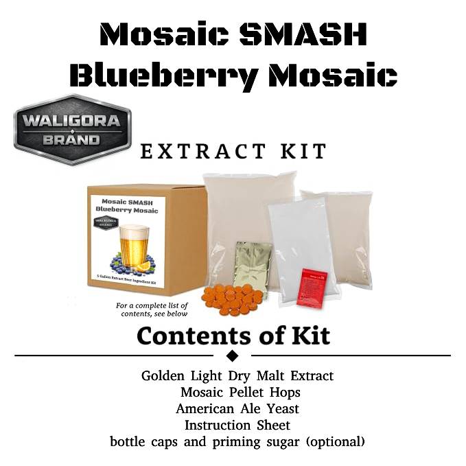 The "Blueberry Mosaic" SMASH Beer Making Kit - makes 5 gallons